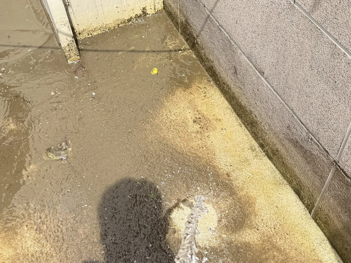 북구 어물동 배관 관리실·기계실 위생청소 사례 - 행진크린